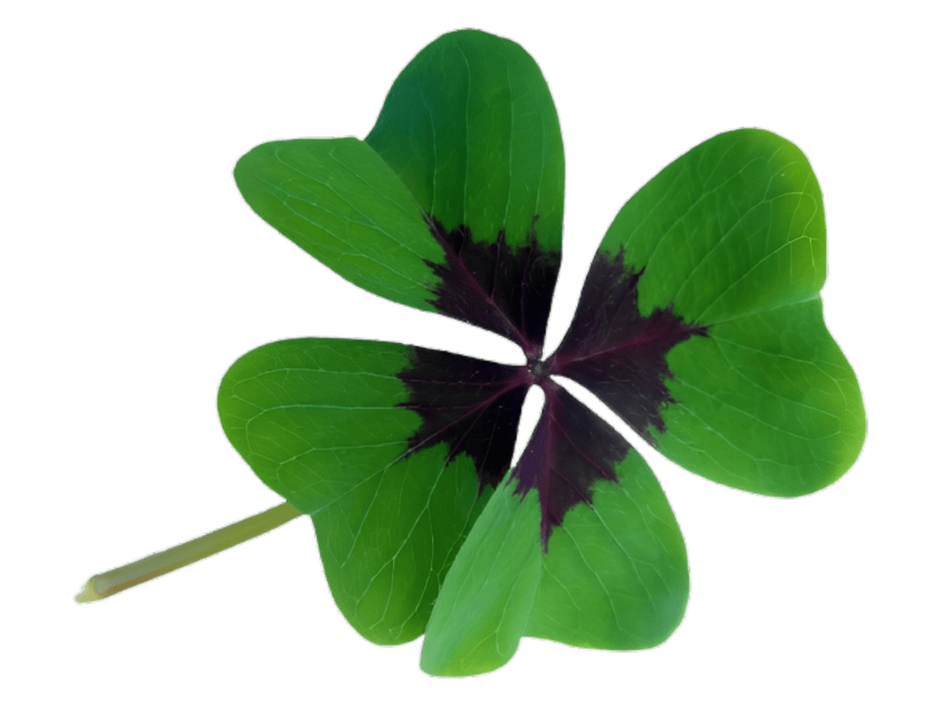 St. Patrick's Day Celebration